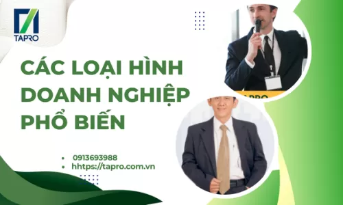 Các Loại Hình Doanh Nghiệp Phổ Biến