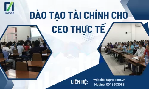 Đào Tạo Tài Chính Cho CEO Thực Tế