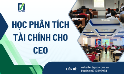 Học Phân Tích Tài Chính Cho CEO